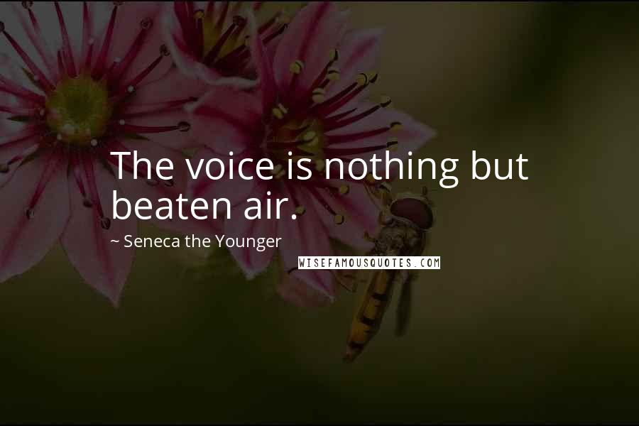 Seneca The Younger Quotes: The voice is nothing but beaten air.