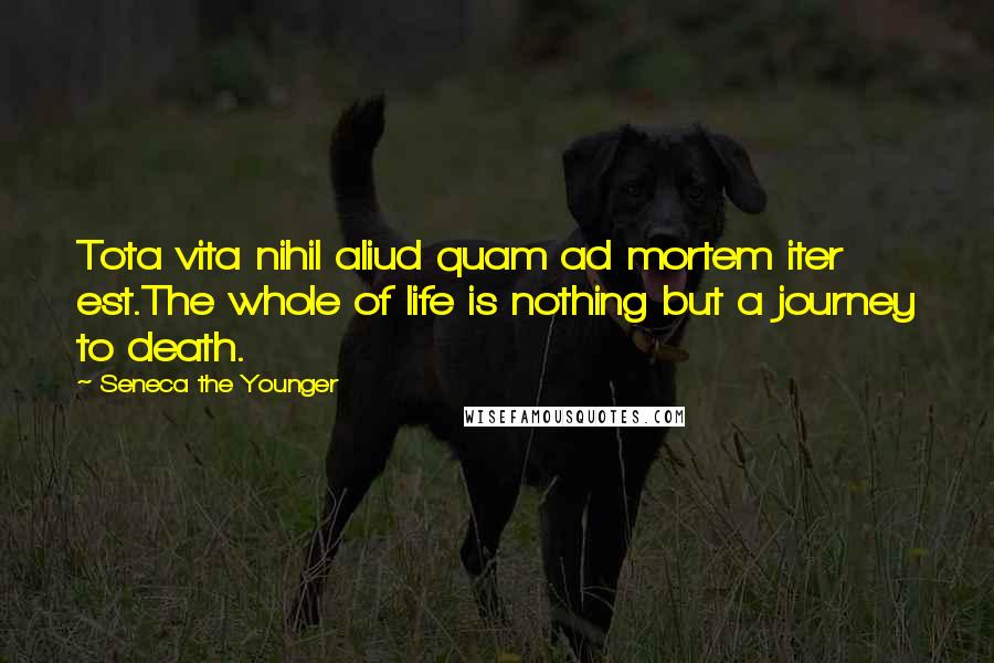 Seneca The Younger Quotes: Tota vita nihil aliud quam ad mortem iter est.The whole of life is nothing but a journey to death.