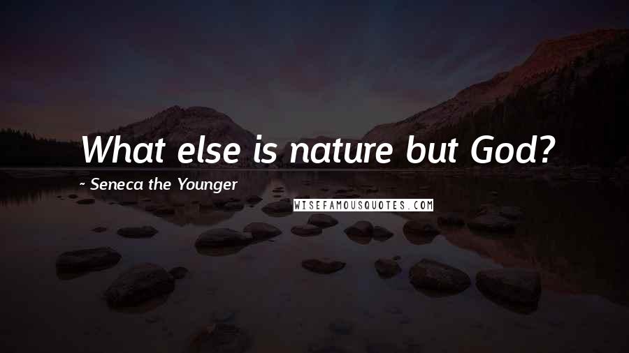 Seneca The Younger Quotes: What else is nature but God?