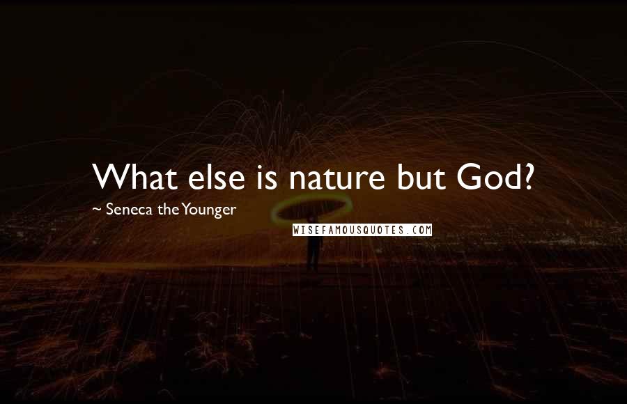 Seneca The Younger Quotes: What else is nature but God?