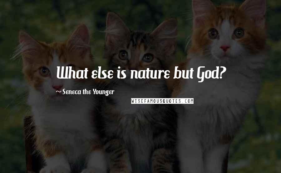 Seneca The Younger Quotes: What else is nature but God?