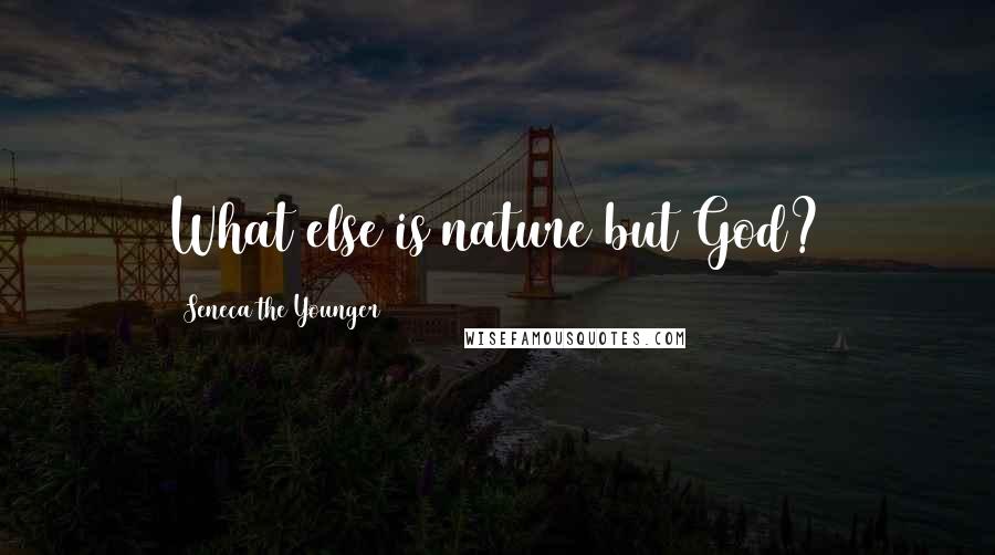 Seneca The Younger Quotes: What else is nature but God?