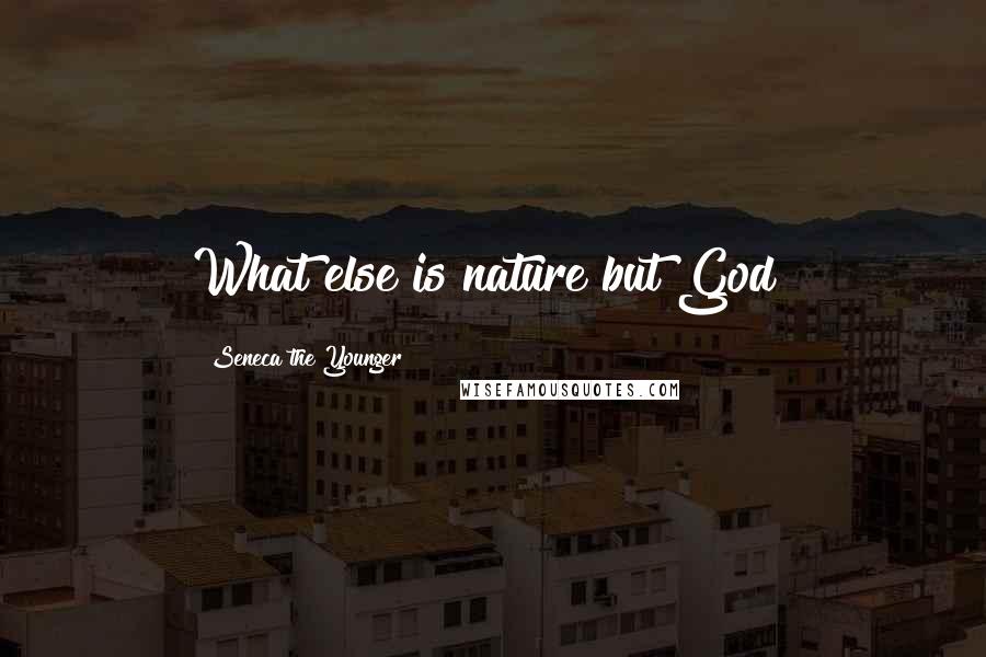 Seneca The Younger Quotes: What else is nature but God?