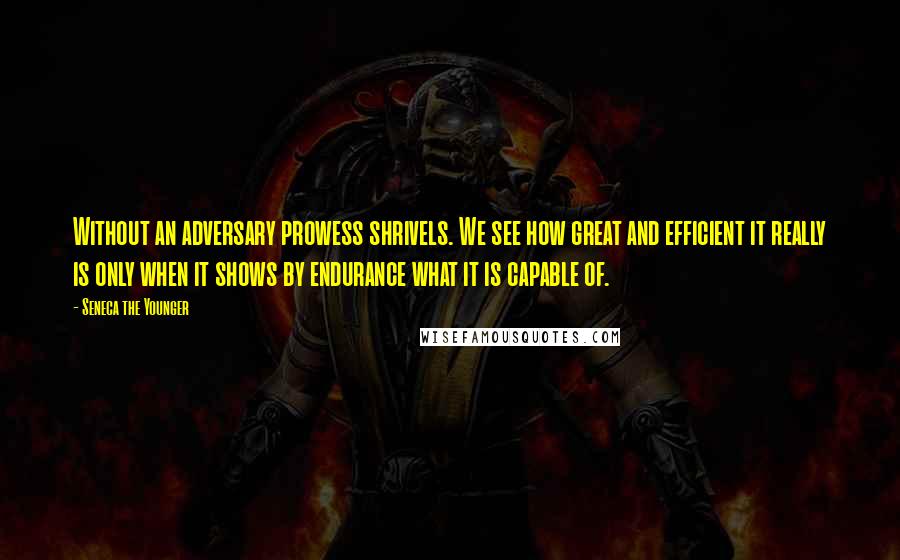 Seneca The Younger Quotes: Without an adversary prowess shrivels. We see how great and efficient it really is only when it shows by endurance what it is capable of.