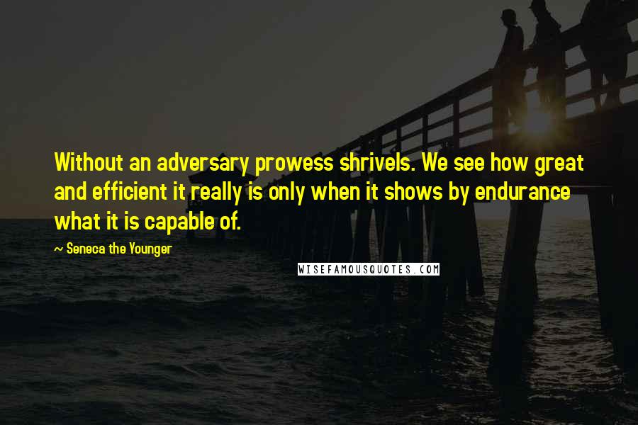 Seneca The Younger Quotes: Without an adversary prowess shrivels. We see how great and efficient it really is only when it shows by endurance what it is capable of.