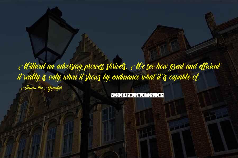 Seneca The Younger Quotes: Without an adversary prowess shrivels. We see how great and efficient it really is only when it shows by endurance what it is capable of.