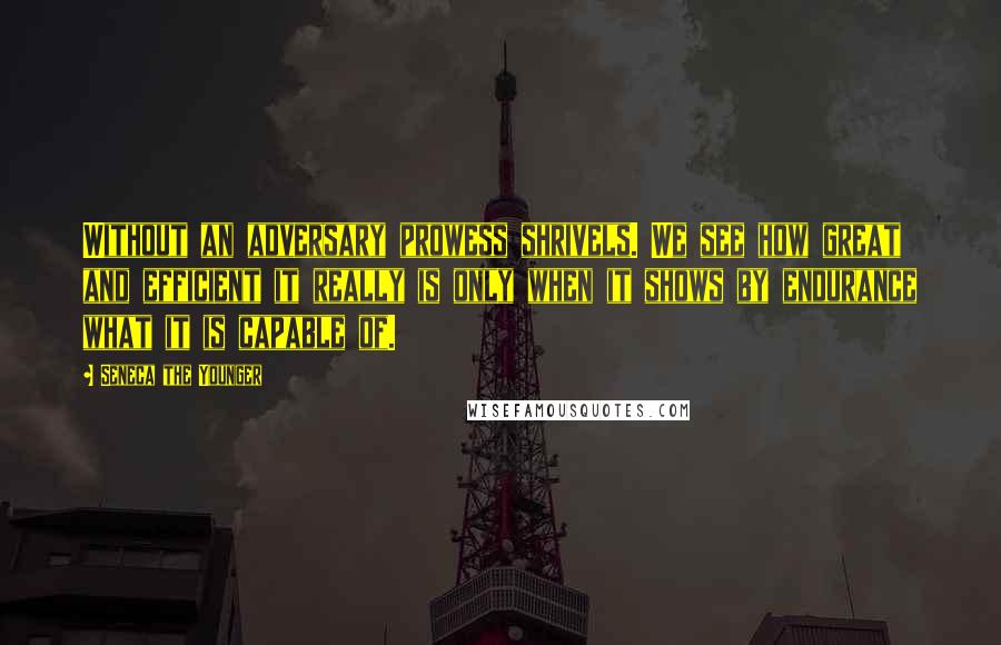 Seneca The Younger Quotes: Without an adversary prowess shrivels. We see how great and efficient it really is only when it shows by endurance what it is capable of.