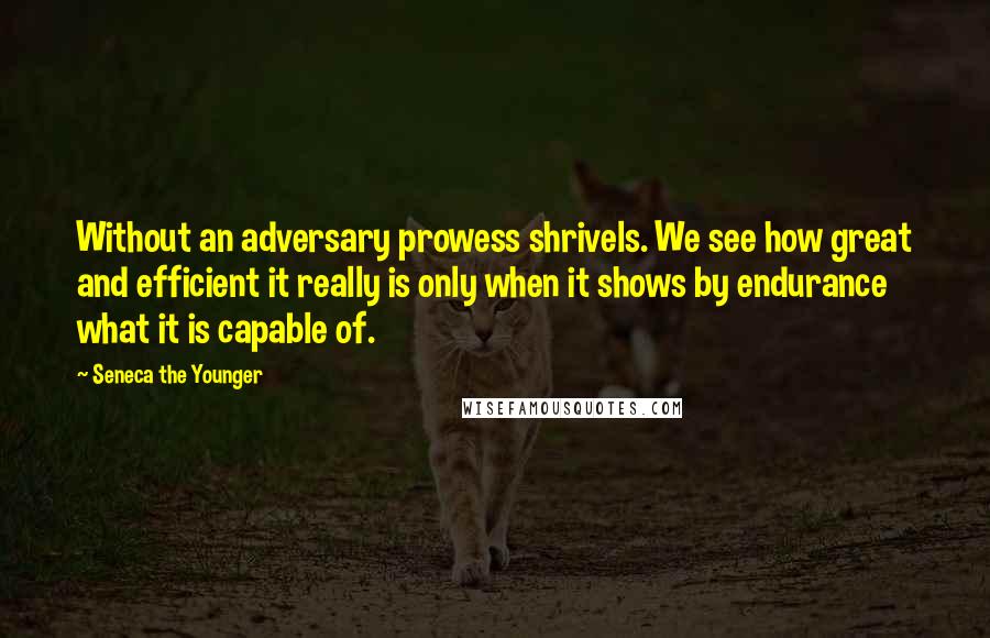 Seneca The Younger Quotes: Without an adversary prowess shrivels. We see how great and efficient it really is only when it shows by endurance what it is capable of.