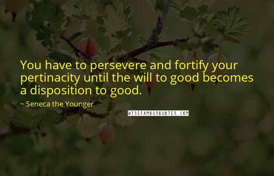 Seneca The Younger Quotes: You have to persevere and fortify your pertinacity until the will to good becomes a disposition to good.