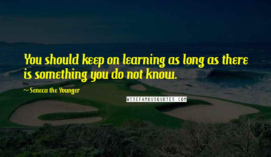 Seneca The Younger Quotes: You should keep on learning as long as there is something you do not know.