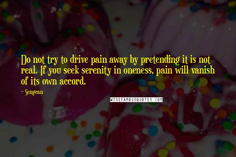 Sengcan Quotes: Do not try to drive pain away by pretending it is not real. If you seek serenity in oneness, pain will vanish of its own accord.