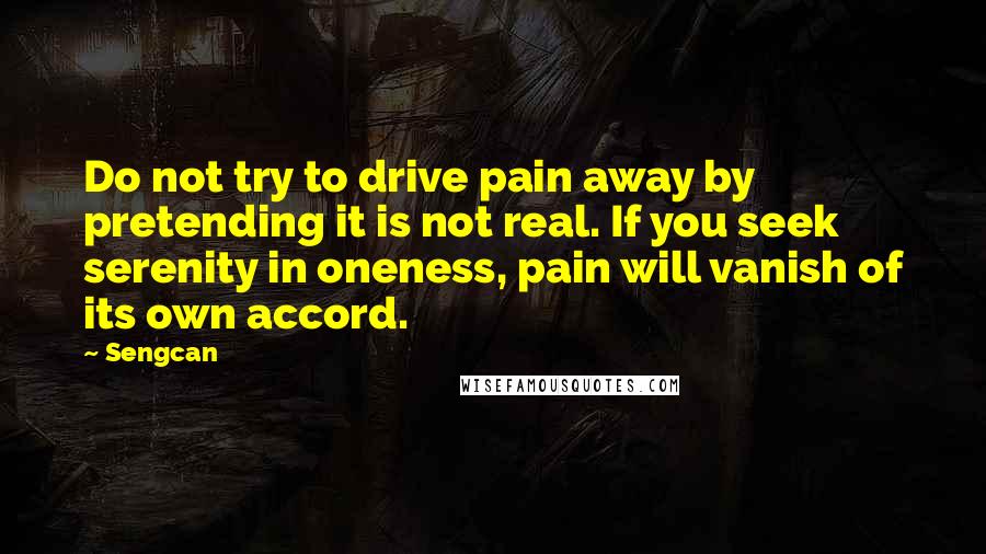 Sengcan Quotes: Do not try to drive pain away by pretending it is not real. If you seek serenity in oneness, pain will vanish of its own accord.