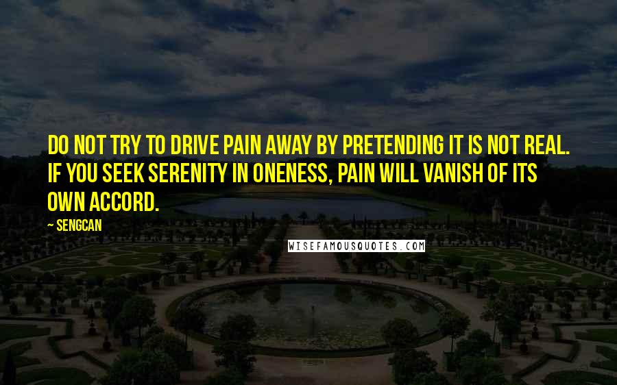 Sengcan Quotes: Do not try to drive pain away by pretending it is not real. If you seek serenity in oneness, pain will vanish of its own accord.