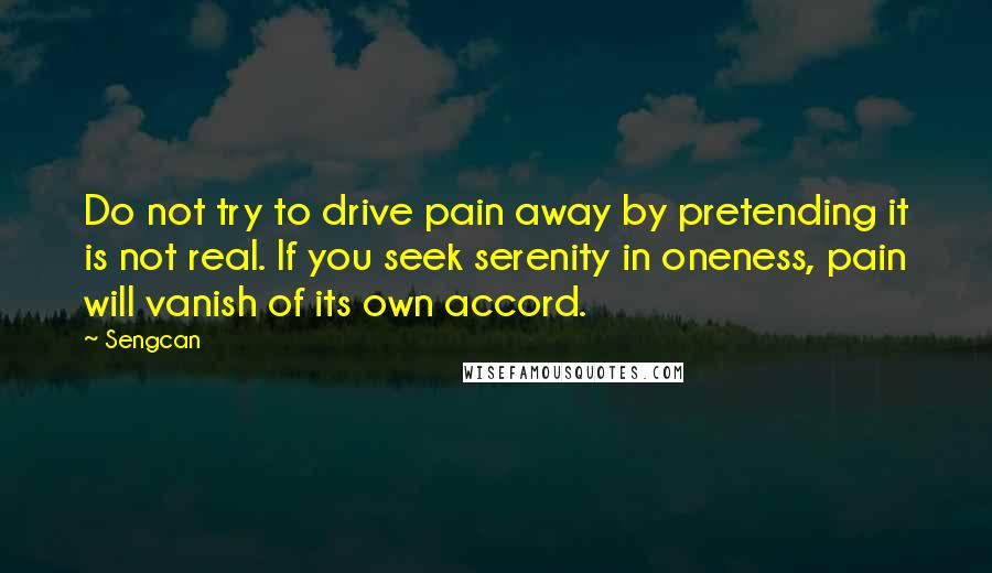 Sengcan Quotes: Do not try to drive pain away by pretending it is not real. If you seek serenity in oneness, pain will vanish of its own accord.