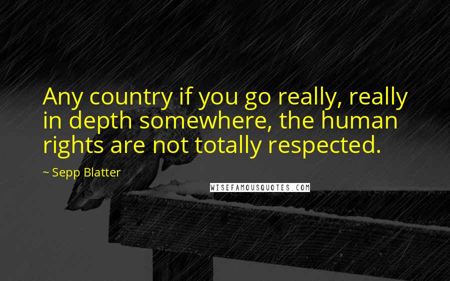 Sepp Blatter Quotes: Any country if you go really, really in depth somewhere, the human rights are not totally respected.