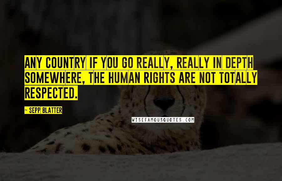 Sepp Blatter Quotes: Any country if you go really, really in depth somewhere, the human rights are not totally respected.