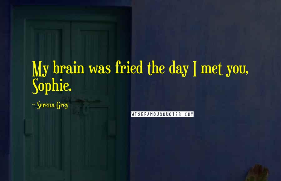 Serena Grey Quotes: My brain was fried the day I met you, Sophie.