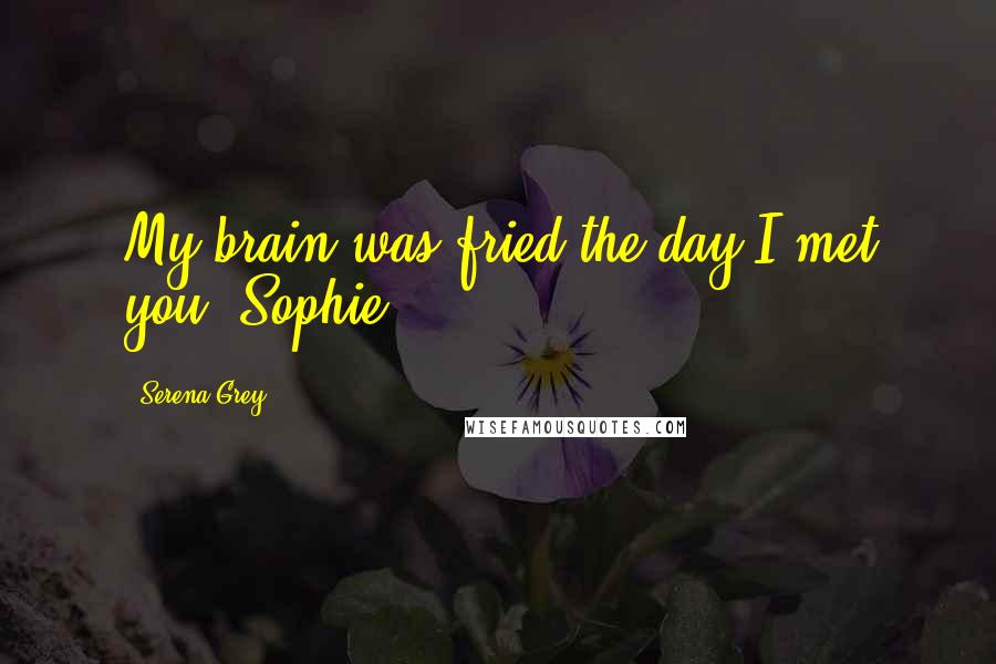 Serena Grey Quotes: My brain was fried the day I met you, Sophie.