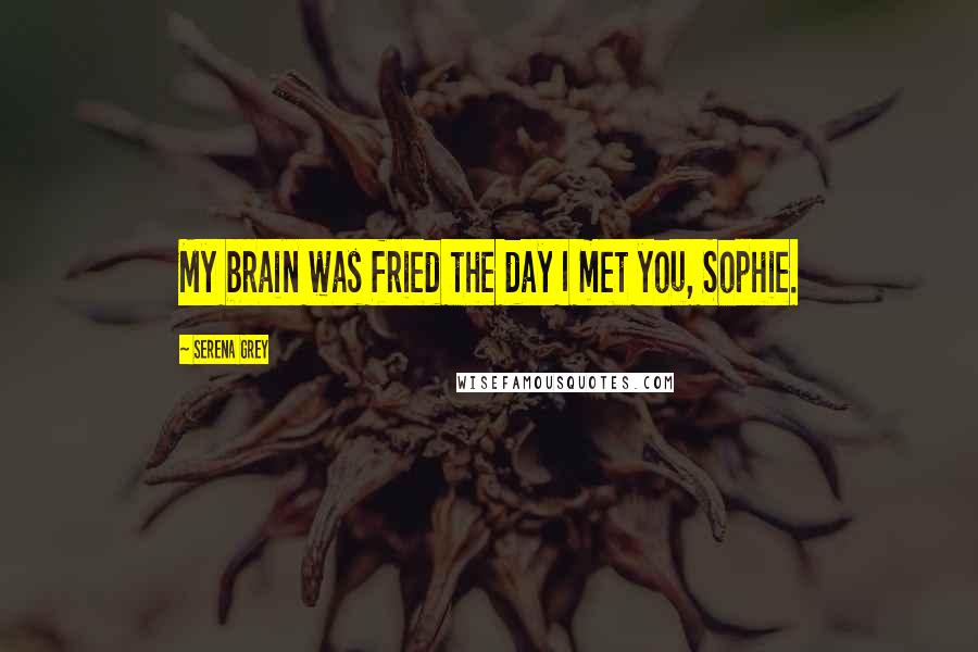 Serena Grey Quotes: My brain was fried the day I met you, Sophie.