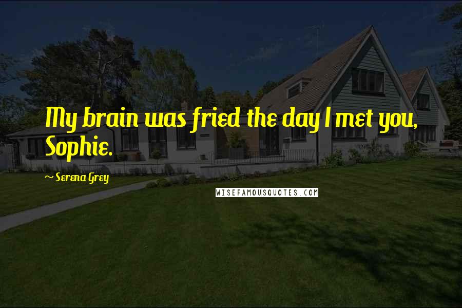 Serena Grey Quotes: My brain was fried the day I met you, Sophie.