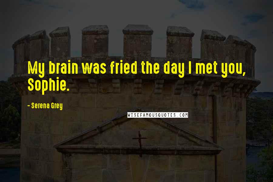 Serena Grey Quotes: My brain was fried the day I met you, Sophie.