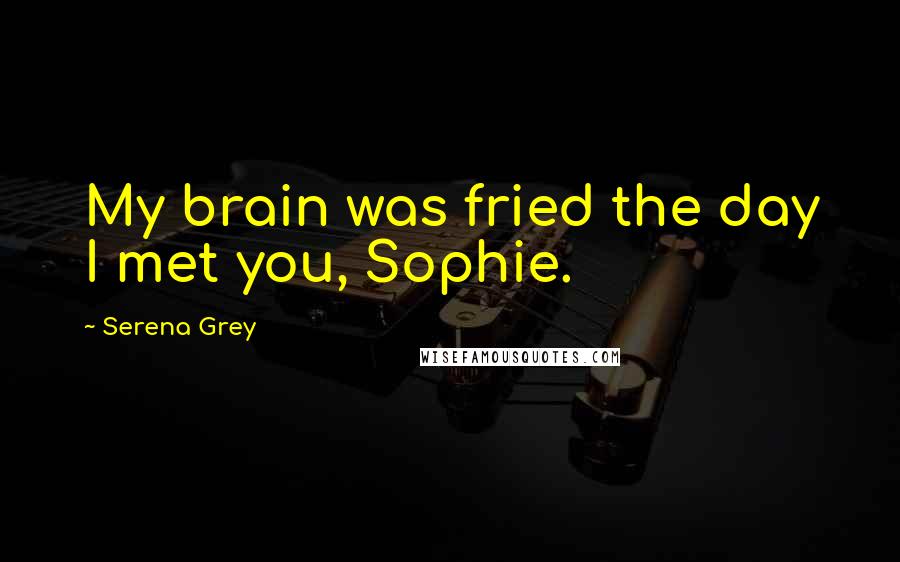 Serena Grey Quotes: My brain was fried the day I met you, Sophie.