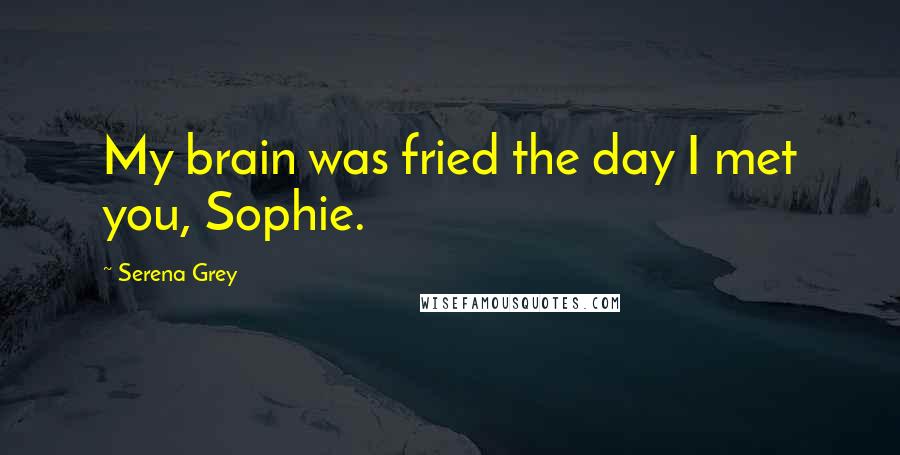 Serena Grey Quotes: My brain was fried the day I met you, Sophie.