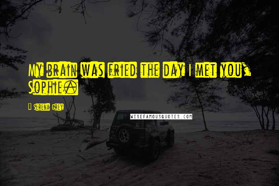 Serena Grey Quotes: My brain was fried the day I met you, Sophie.