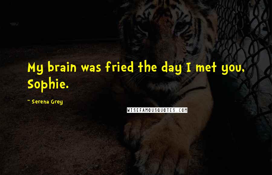 Serena Grey Quotes: My brain was fried the day I met you, Sophie.