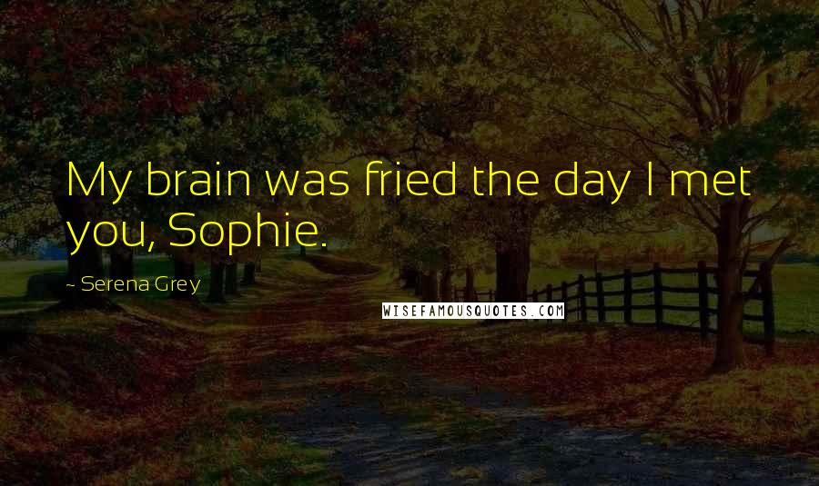 Serena Grey Quotes: My brain was fried the day I met you, Sophie.