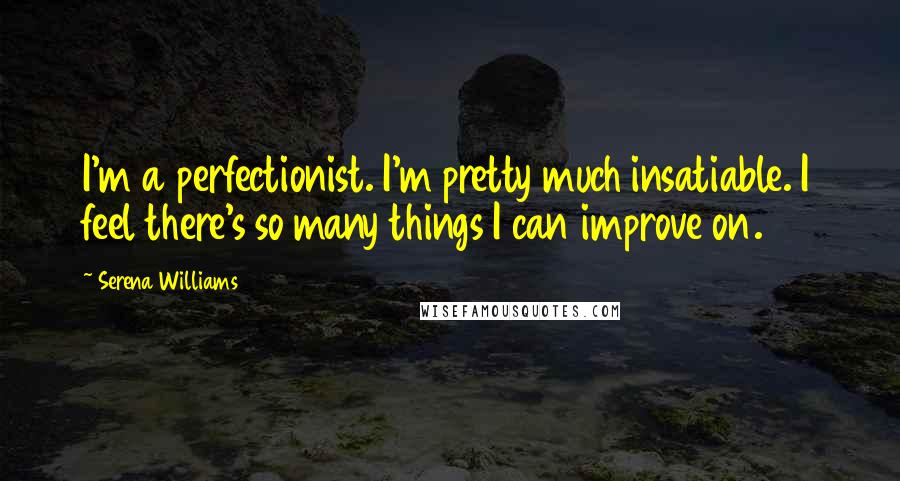 Serena Williams Quotes: I'm a perfectionist. I'm pretty much insatiable. I feel there's so many things I can improve on.