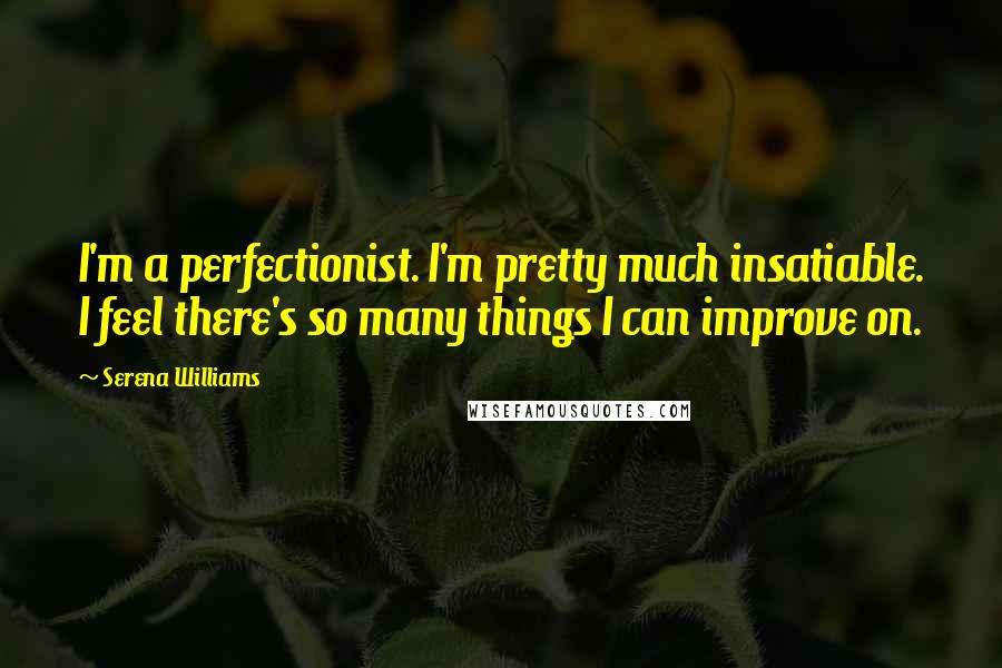 Serena Williams Quotes: I'm a perfectionist. I'm pretty much insatiable. I feel there's so many things I can improve on.