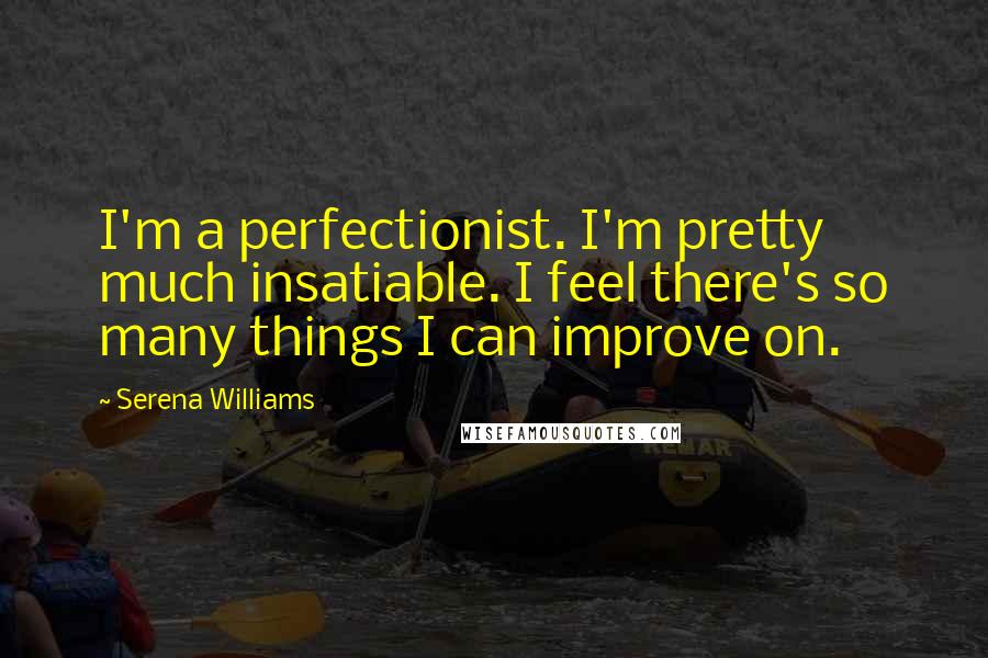 Serena Williams Quotes: I'm a perfectionist. I'm pretty much insatiable. I feel there's so many things I can improve on.