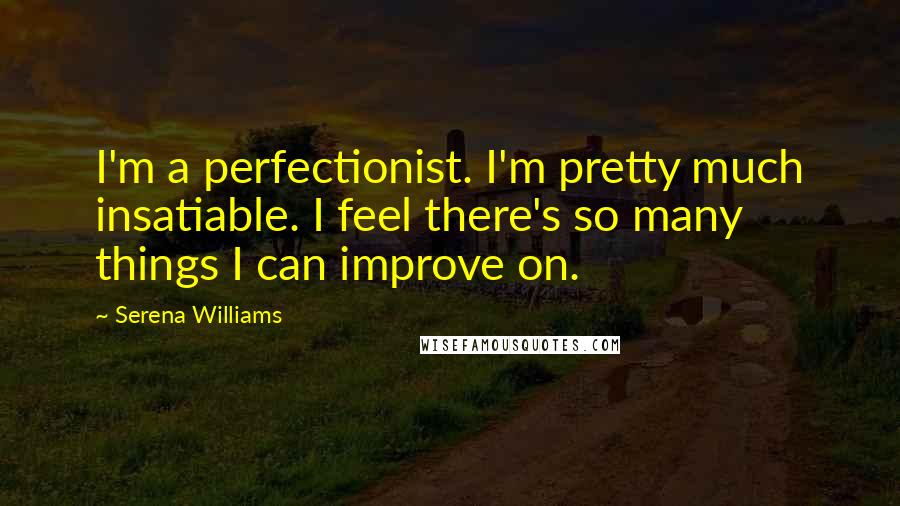 Serena Williams Quotes: I'm a perfectionist. I'm pretty much insatiable. I feel there's so many things I can improve on.