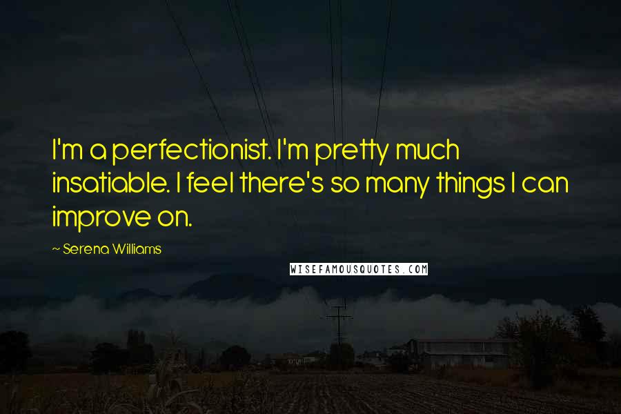 Serena Williams Quotes: I'm a perfectionist. I'm pretty much insatiable. I feel there's so many things I can improve on.