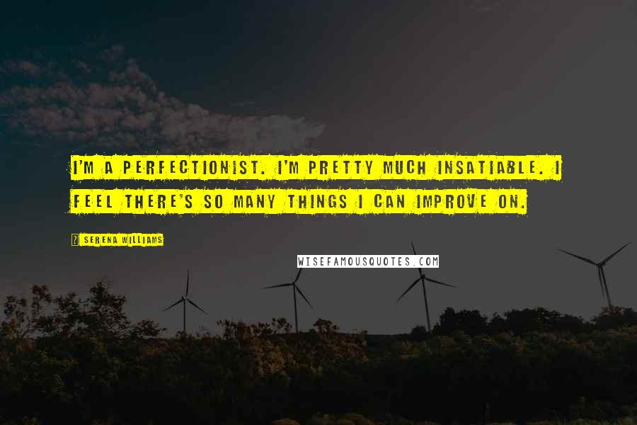 Serena Williams Quotes: I'm a perfectionist. I'm pretty much insatiable. I feel there's so many things I can improve on.