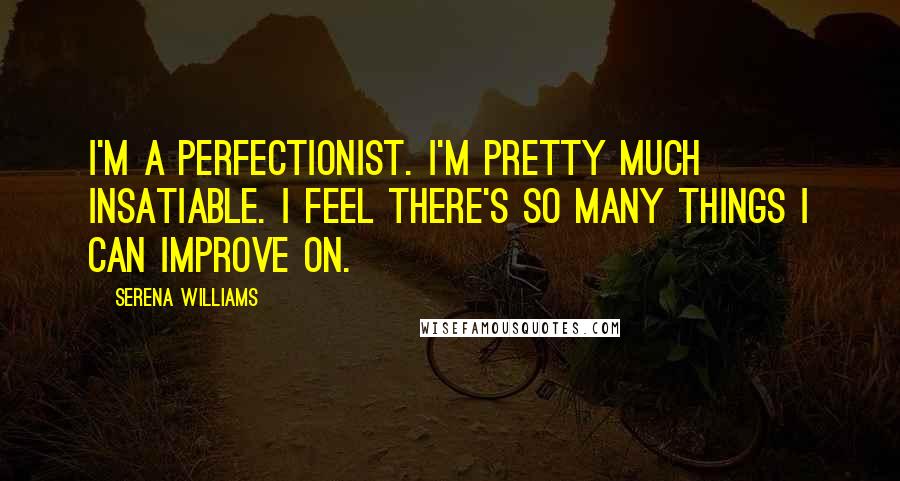 Serena Williams Quotes: I'm a perfectionist. I'm pretty much insatiable. I feel there's so many things I can improve on.