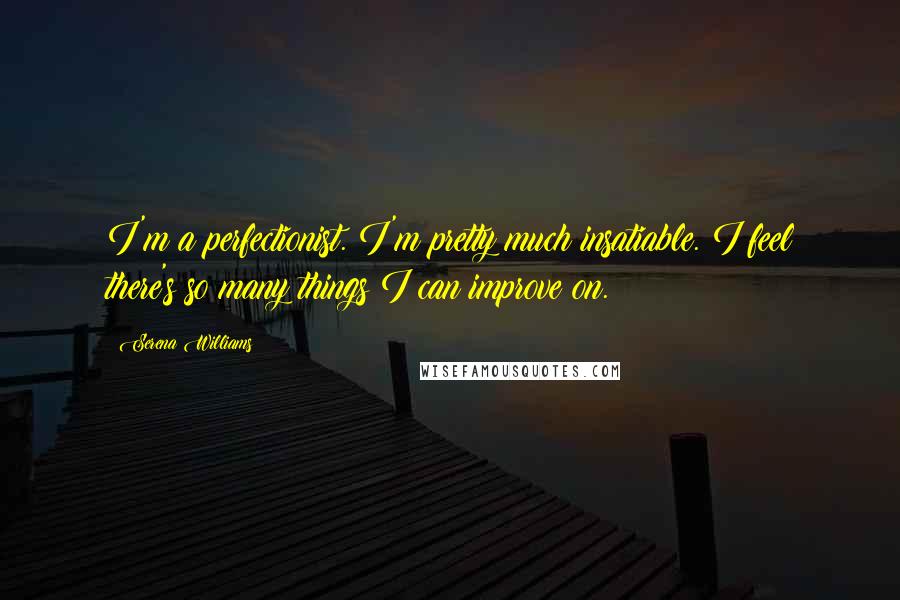 Serena Williams Quotes: I'm a perfectionist. I'm pretty much insatiable. I feel there's so many things I can improve on.