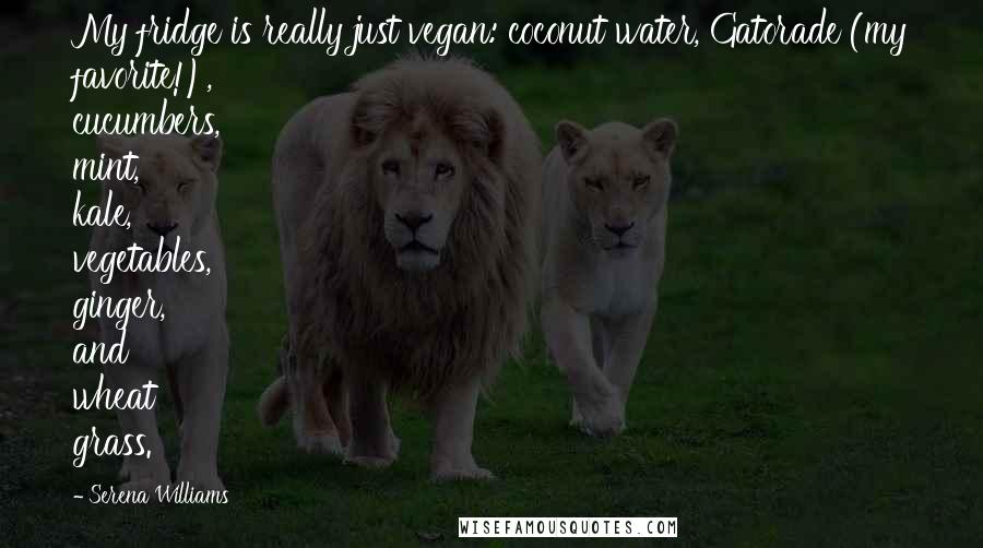 Serena Williams Quotes: My fridge is really just vegan: coconut water, Gatorade (my favorite!), cucumbers, mint, kale, vegetables, ginger, and wheat grass.
