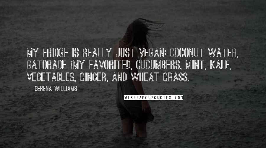 Serena Williams Quotes: My fridge is really just vegan: coconut water, Gatorade (my favorite!), cucumbers, mint, kale, vegetables, ginger, and wheat grass.