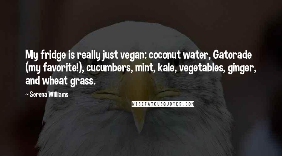 Serena Williams Quotes: My fridge is really just vegan: coconut water, Gatorade (my favorite!), cucumbers, mint, kale, vegetables, ginger, and wheat grass.