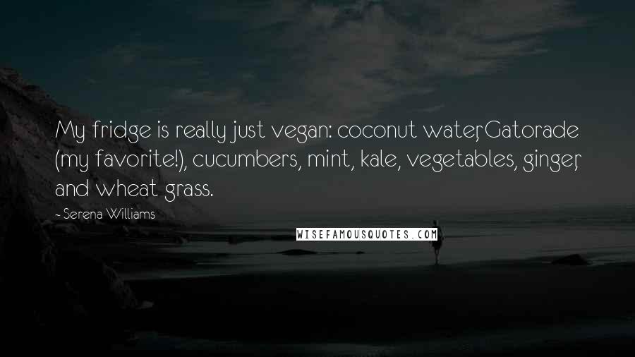 Serena Williams Quotes: My fridge is really just vegan: coconut water, Gatorade (my favorite!), cucumbers, mint, kale, vegetables, ginger, and wheat grass.