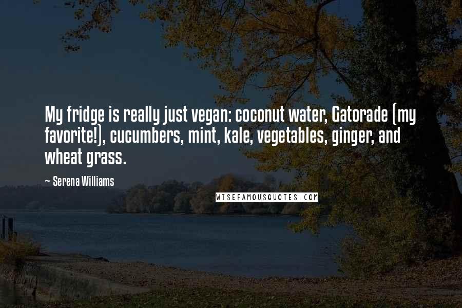 Serena Williams Quotes: My fridge is really just vegan: coconut water, Gatorade (my favorite!), cucumbers, mint, kale, vegetables, ginger, and wheat grass.