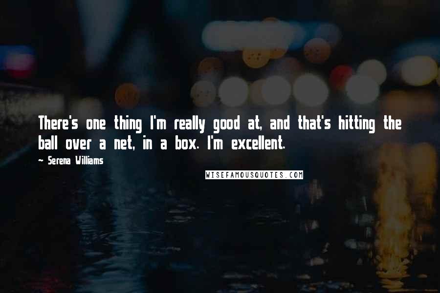 Serena Williams Quotes: There's one thing I'm really good at, and that's hitting the ball over a net, in a box. I'm excellent.