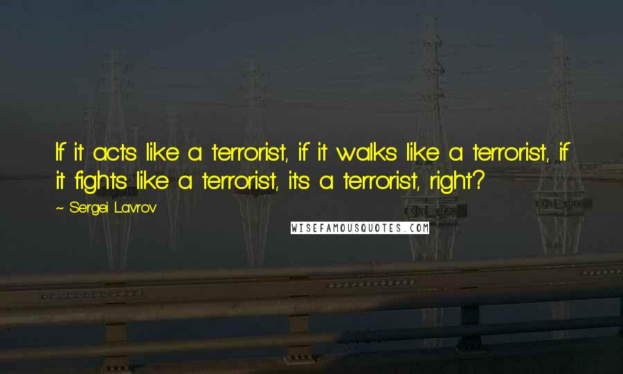 Sergei Lavrov Quotes: If it acts like a terrorist, if it walks like a terrorist, if it fights like a terrorist, it's a terrorist, right?