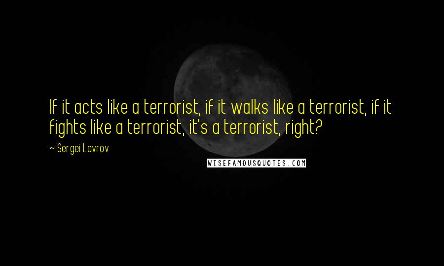 Sergei Lavrov Quotes: If it acts like a terrorist, if it walks like a terrorist, if it fights like a terrorist, it's a terrorist, right?