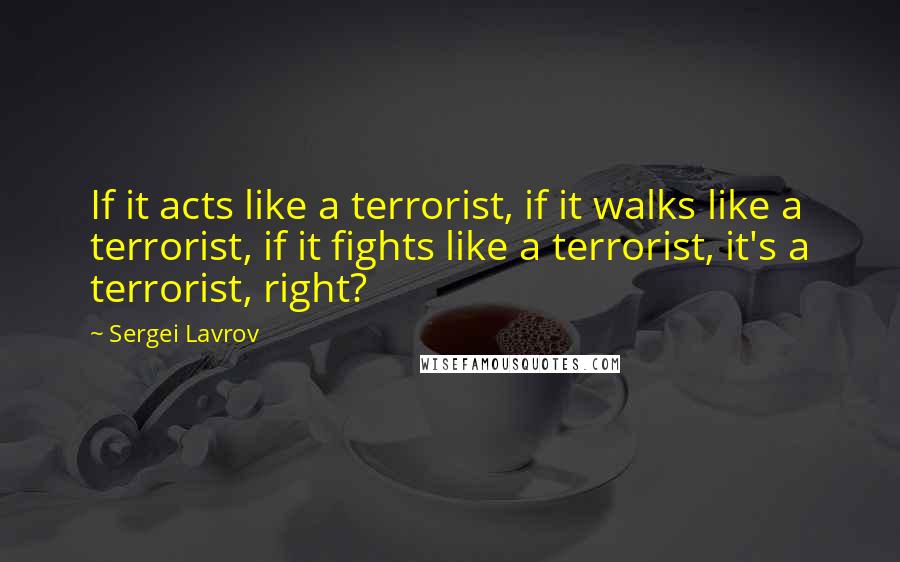 Sergei Lavrov Quotes: If it acts like a terrorist, if it walks like a terrorist, if it fights like a terrorist, it's a terrorist, right?