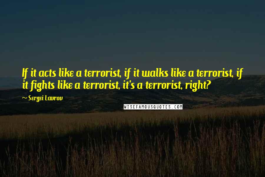 Sergei Lavrov Quotes: If it acts like a terrorist, if it walks like a terrorist, if it fights like a terrorist, it's a terrorist, right?