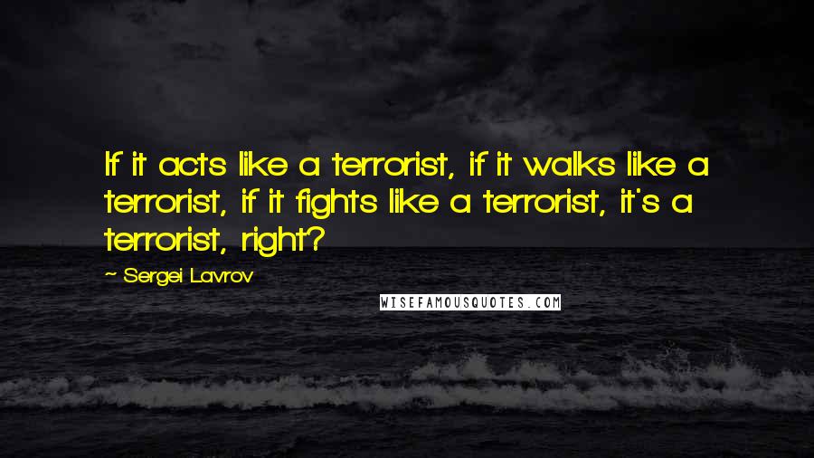 Sergei Lavrov Quotes: If it acts like a terrorist, if it walks like a terrorist, if it fights like a terrorist, it's a terrorist, right?