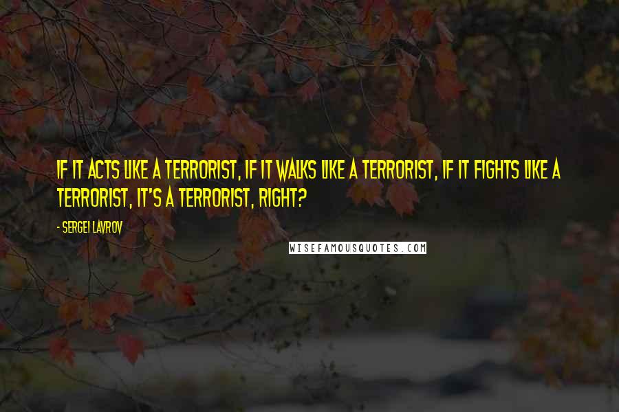 Sergei Lavrov Quotes: If it acts like a terrorist, if it walks like a terrorist, if it fights like a terrorist, it's a terrorist, right?